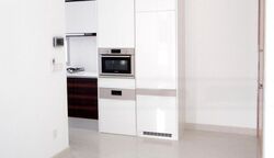 The Ford @ Holland (D10), Condominium #485009571